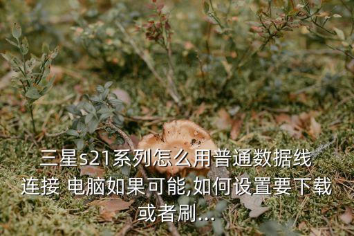  三星s21系列怎么用普通數據線 連接 電腦如果可能,如何設置要下載或者刷...