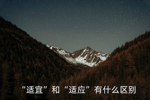 “適宜”和“適應(yīng)”有什么區(qū)別