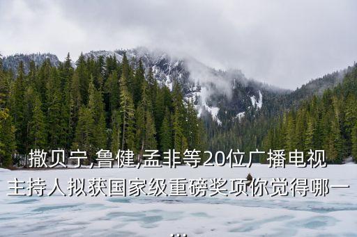 金話筒獎(jiǎng),楊瀾獲頒金話筒獎(jiǎng)最佳女主持人