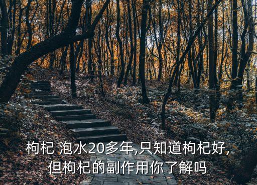 枸杞 泡水20多年,只知道枸杞好,但枸杞的副作用你了解嗎