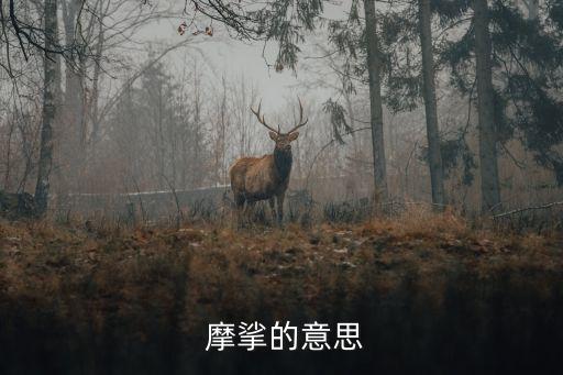 摩挲,摩挲寶劍和銅鑼燒香
