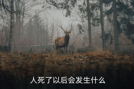 人死了會怎樣