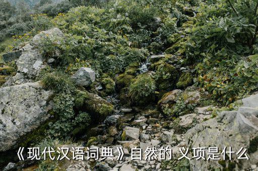 《現(xiàn)代漢語(yǔ)詞典》自然的 義項(xiàng)是什么
