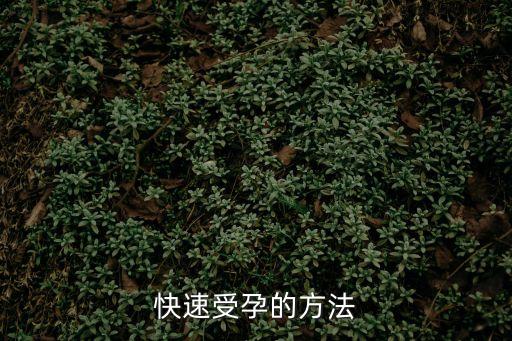 怎么能快速懷孕,子宮位置靠后怎么能快速懷孕