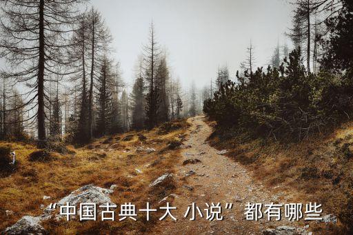 “中國古典十大 小說”都有哪些