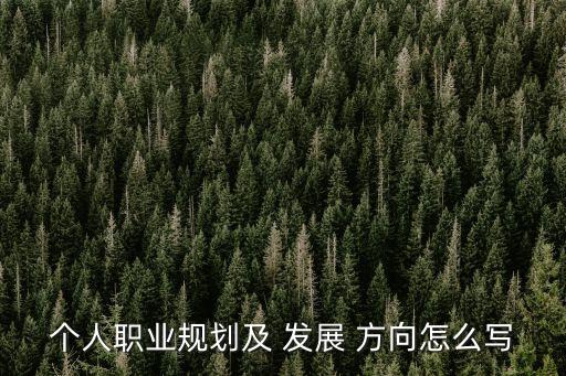 個人發展方向,職業規劃與發展方向:縱向發展和橫向調動