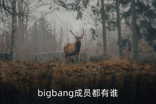 bigbang成員都有誰