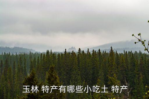 廣西玉林特產(chǎn),廣西玉林特色米粉是牛肉干比干牛肉略軟