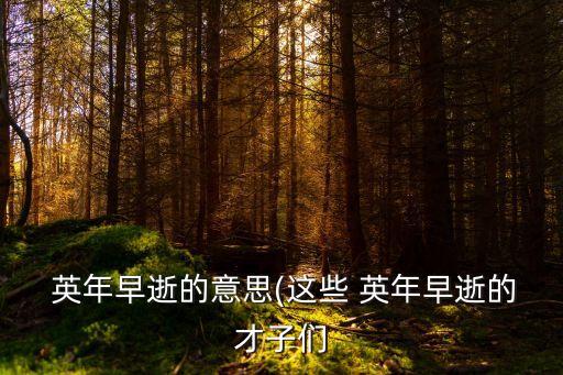  英年早逝的意思(這些 英年早逝的才子們
