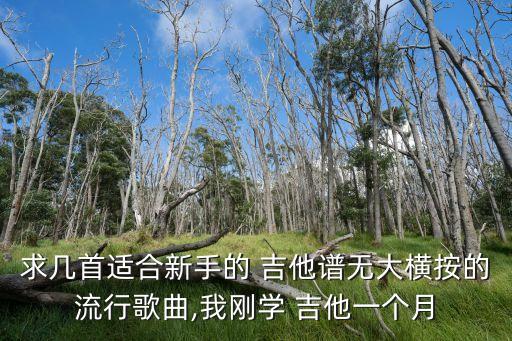 陰天吉他譜,莫文蔚陰天吉他譜
