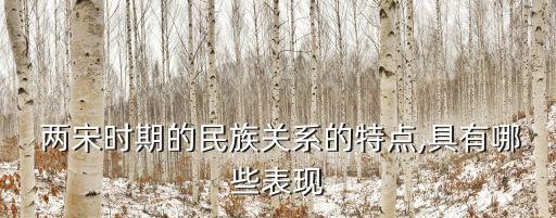  兩宋時期的民族關系的特點,具有哪些表現