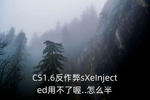 injected,系統或...存儲錯誤!!!