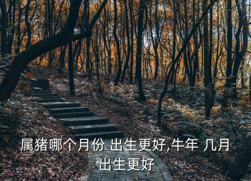 屬豬哪個月份 出生更好,牛年 幾月 出生更好