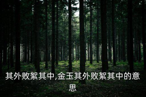 金玉其外敗絮其中,金玉其外敗絮其中的意思