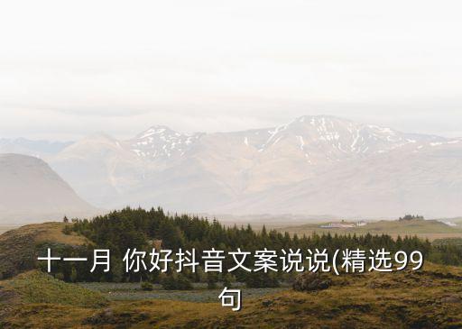 十一月 你好抖音文案說說(精選99句