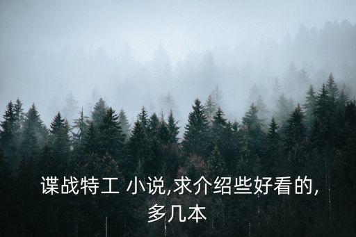  諜戰特工 小說,求介紹些好看的,多幾本