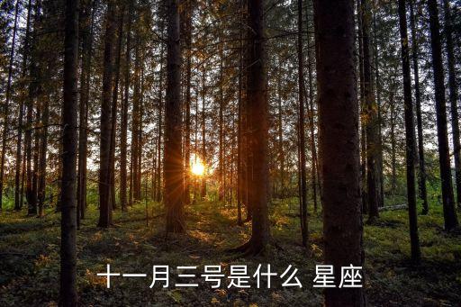十一月三號是什么 星座