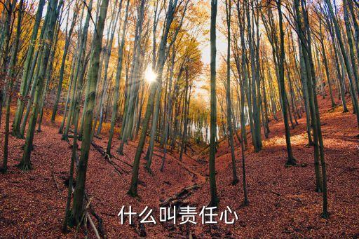 什么是責任感,一文看懂!責任感包括了什么?