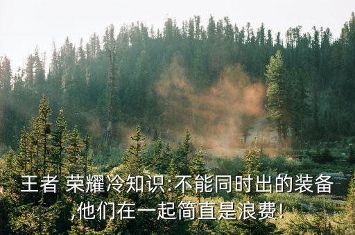 近衛榮耀,王者榮耀:哪些射手適合出后衛榮耀?