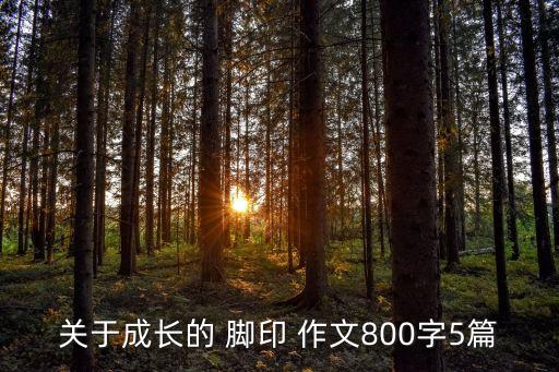 關(guān)于成長的 腳印 作文800字5篇