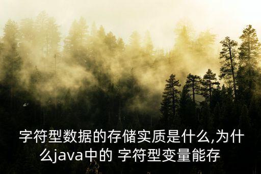  字符型數據的存儲實質是什么,為什么java中的 字符型變量能存