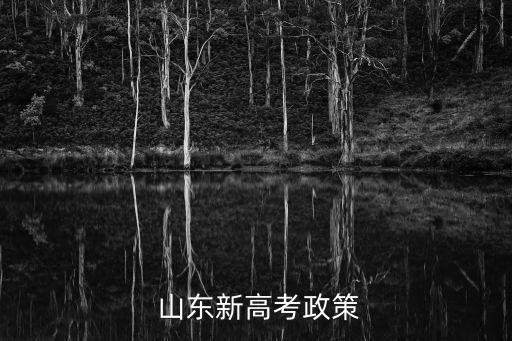 山東招生考試,山東招生考試院電話如下圖所示