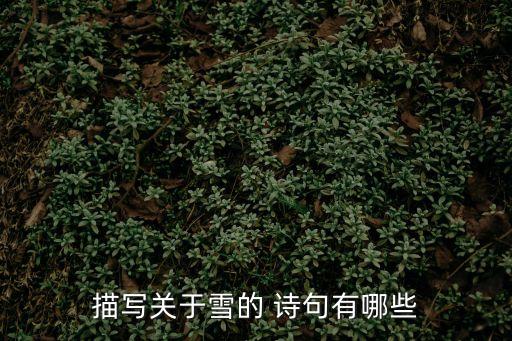 雪的詩句,關于雪的詩句
