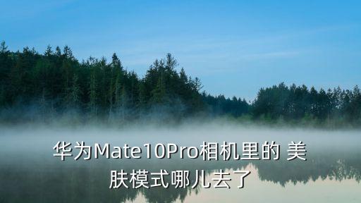 華為Mate10Pro相機(jī)里的 美膚模式哪兒去了