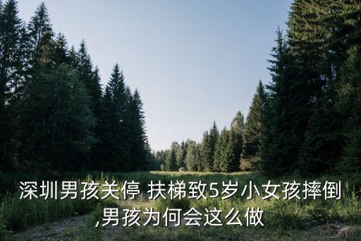 扶梯事故,7.5北京地鐵扶梯事故