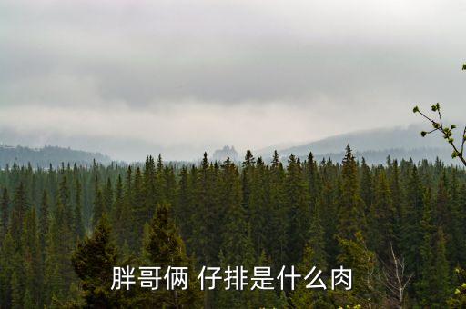 仔排