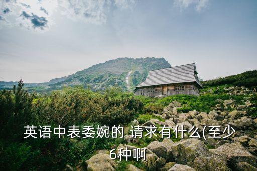  英語中表委婉的 請求有什么(至少6種啊