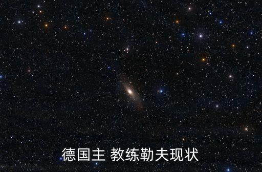 德國隊教練,2014德國隊教練