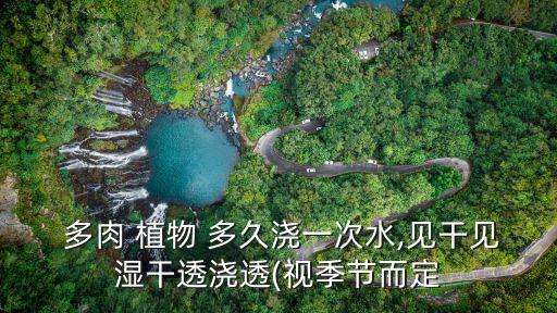 多肉植物多久澆一次水,多肉植物多久澆一次水?一般情況下一周一次即可