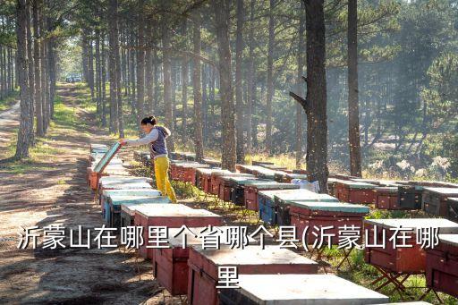 沂蒙山在哪里個省哪個縣(沂蒙山在哪里