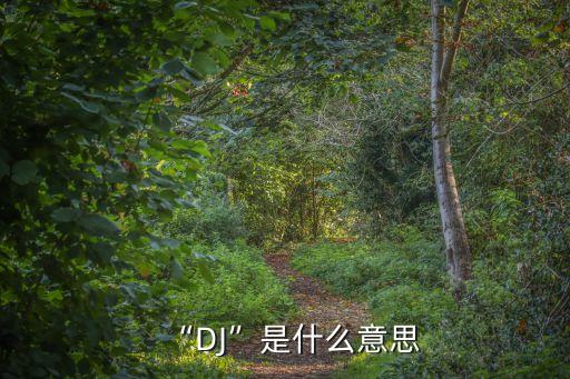 “DJ”是什么意思