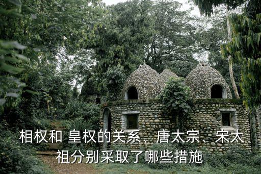  相權和 皇權的關系、唐太宗、宋太祖分別采取了哪些措施