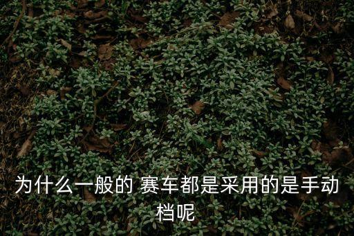 為什么一般的 賽車都是采用的是手動(dòng)檔呢