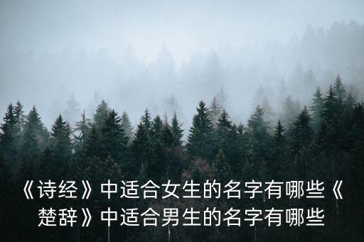 《詩經》中適合女生的名字有哪些《 楚辭》中適合男生的名字有哪些