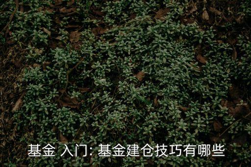  基金 入門: 基金建倉技巧有哪些