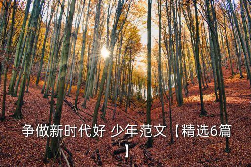  爭(zhēng)做新時(shí)代好 少年范文【精選6篇】