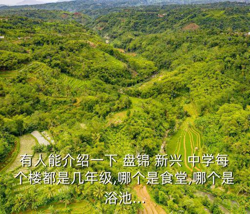 有人能介紹一下 盤錦 新興 中學(xué)每個(gè)樓都是幾年級,哪個(gè)是食堂,哪個(gè)是浴池...