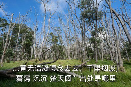 ...竟無語凝噎念去去、千里煙波, 暮靄 沉沉 楚天闊”出處是哪里