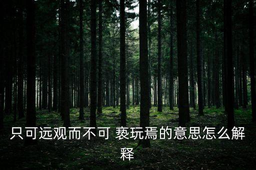 只可遠觀而不可 褻玩焉的意思怎么解釋