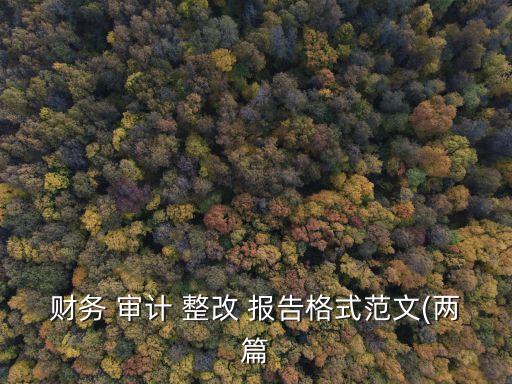 財務 審計 整改 報告格式范文(兩篇