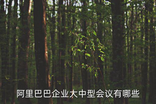 開幕式議程,職業(yè)技能大賽開幕式議程