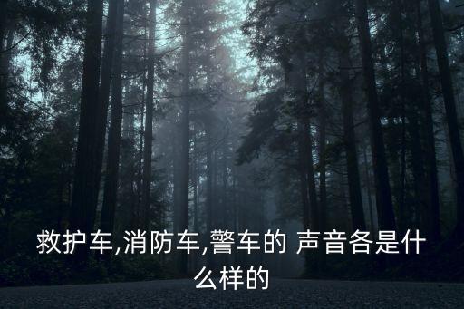 救護車,消防車,警車的 聲音各是什么樣的