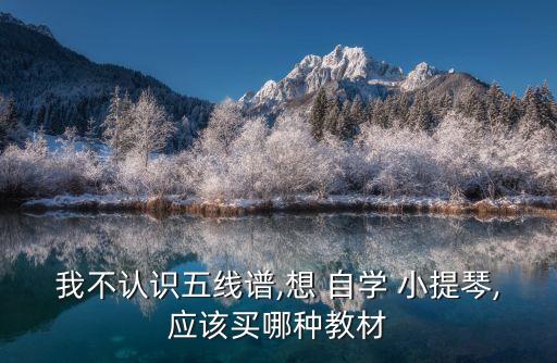 我不認識五線譜,想 自學 小提琴,應該買哪種教材