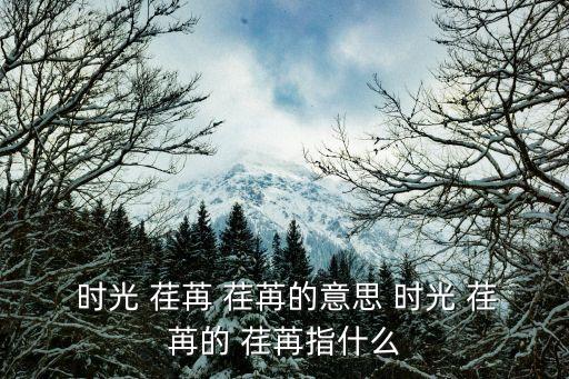  時光 荏苒 荏苒的意思 時光 荏苒的 荏苒指什么
