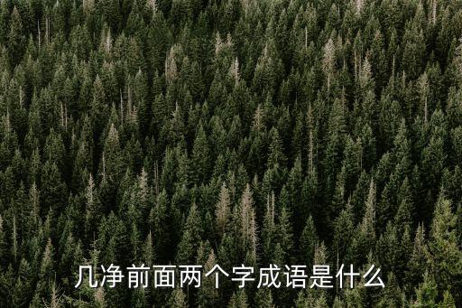 幾凈前面兩個(gè)字成語是什么