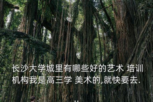  長沙大學城里有哪些好的藝術 培訓機構我是高三學 美術的,就快要去...